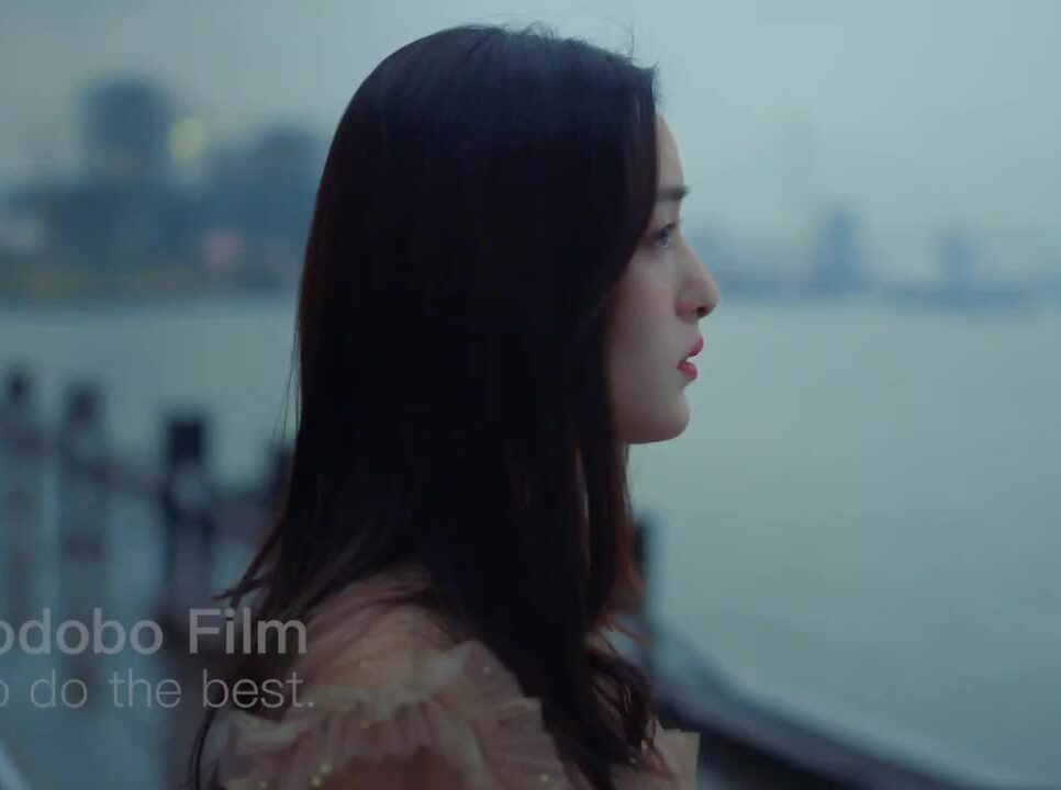 新一代福克斯之奈何BOSS超有爱