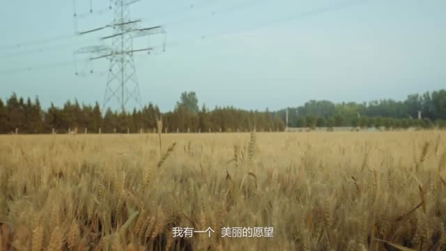 1906太阳村的礼物1906太阳村的礼物