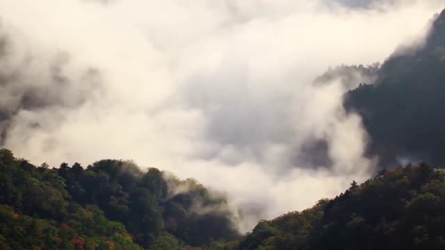 品牌故事内容参考4