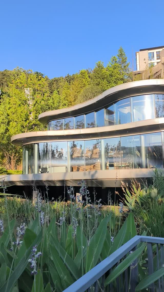 高尔夫2VID_20250817_172902